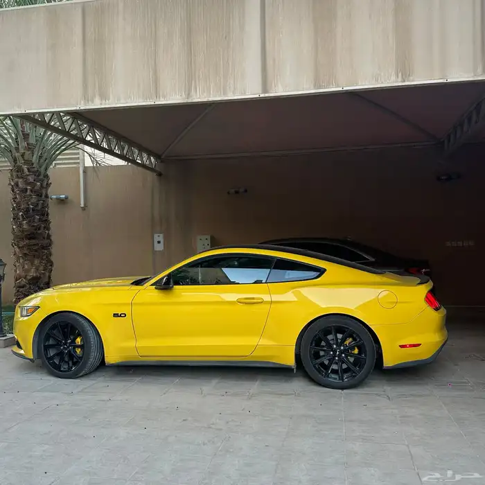 موستنق GT 2016 بدي بلد ممشى 100 2