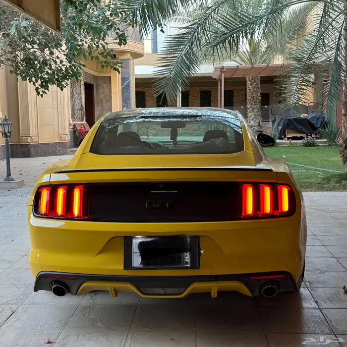 موستنق GT 2016 بدي بلد ممشى 100 1