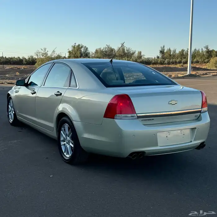 كابرس 2012 ( سمني ) 1