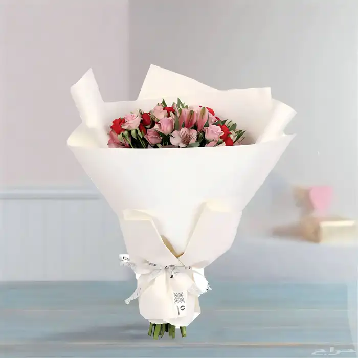 مصورة منتجات للعرض بالمتاجر ومصممة جرافيك بأقل الأسعار 18