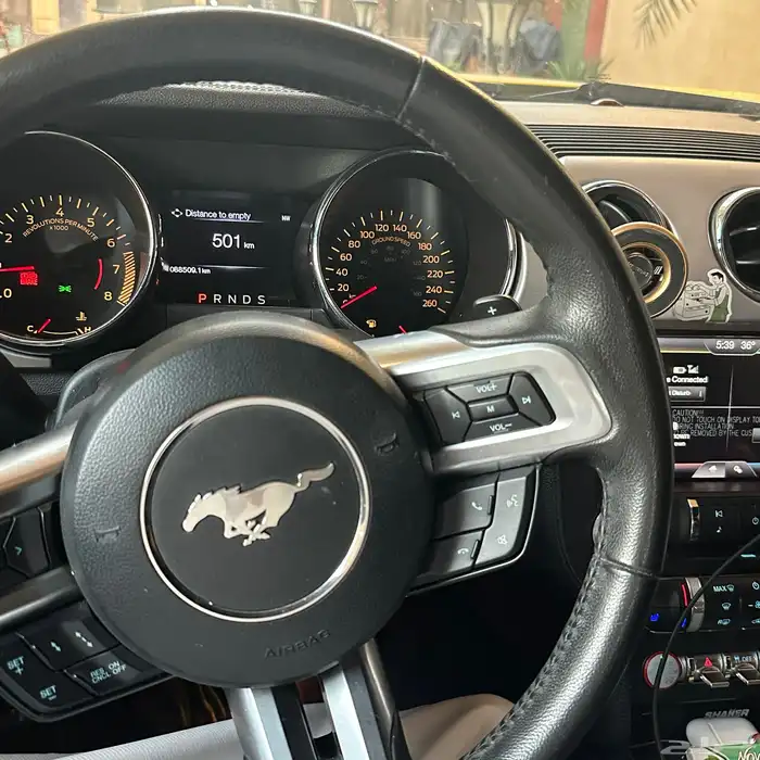 موستنق GT 2016 بدي بلد ممشى 100 6