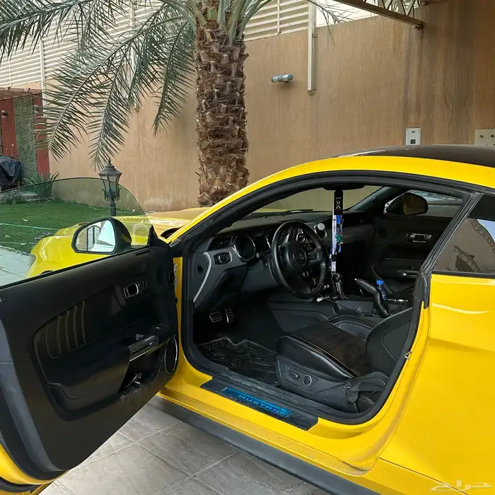 موستنق GT 2016 بدي بلد ممشى 100 3