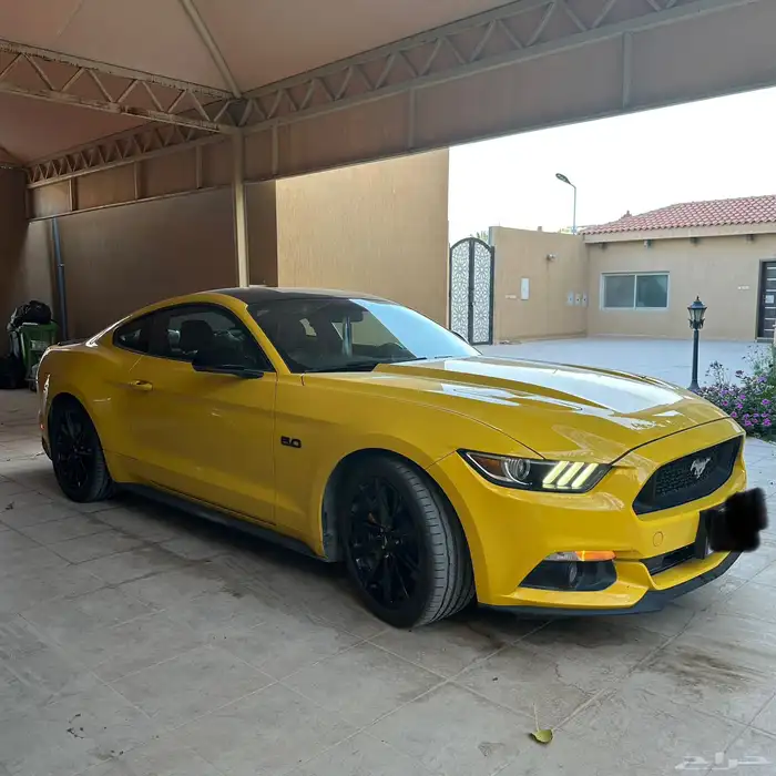 موستنق GT 2016 بدي بلد ممشى 100 4