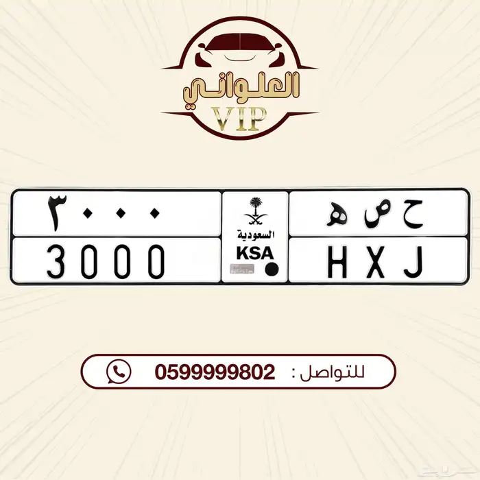 لوحة مميزه للبيع 0