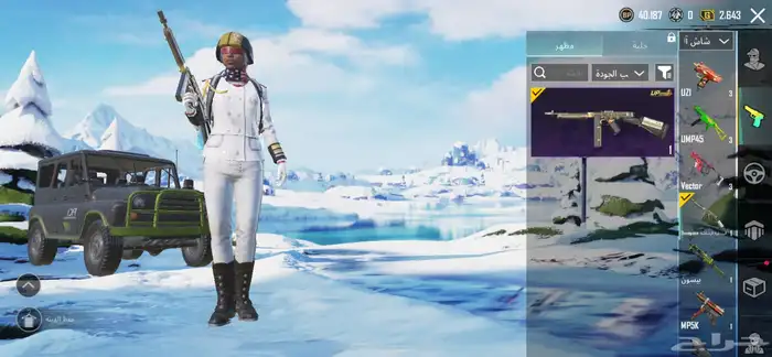 حساب ببجي 20