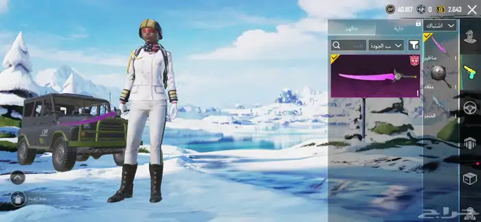 حساب ببجي 25