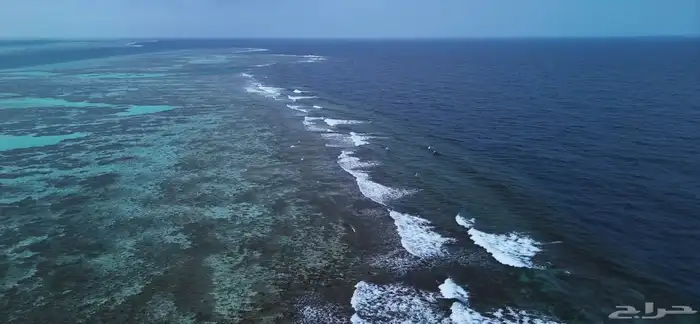 مصور درون مصرح 9