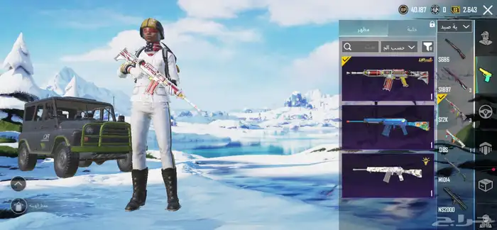 حساب ببجي 21