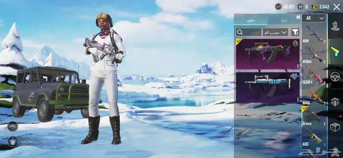 حساب ببجي 13