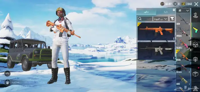 حساب ببجي 12