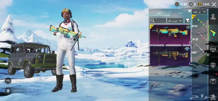 حساب ببجي 22