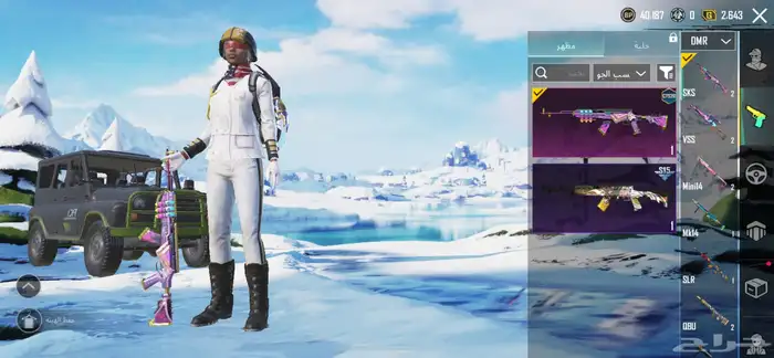 حساب ببجي 17