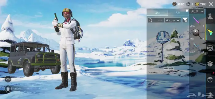 حساب ببجي 24