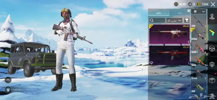 حساب ببجي 10