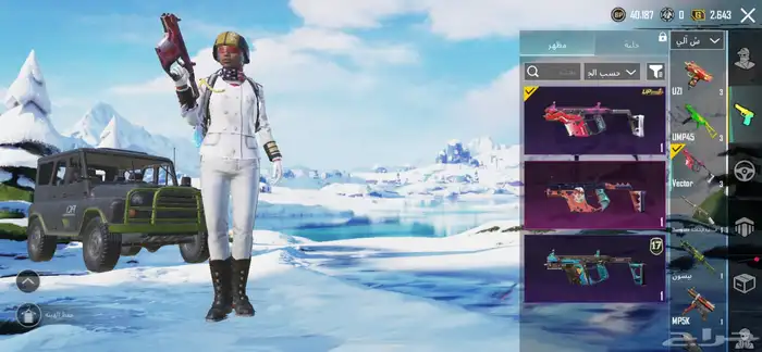 حساب ببجي 19