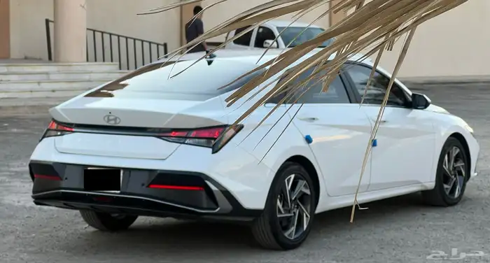 النترا 2025 نص فل 6