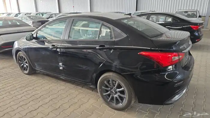 شيري اريزو 5 2025 1