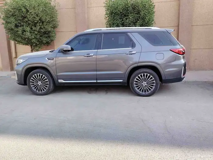 تشالجان رويال cs95 موديل 2020 0