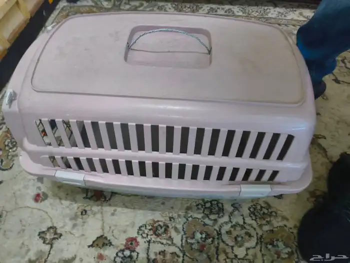 cat accessories and 10 kg dry food 8