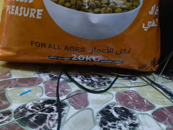 cat accessories and 10 kg dry food 0