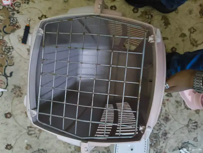 cat accessories and 10 kg dry food 2