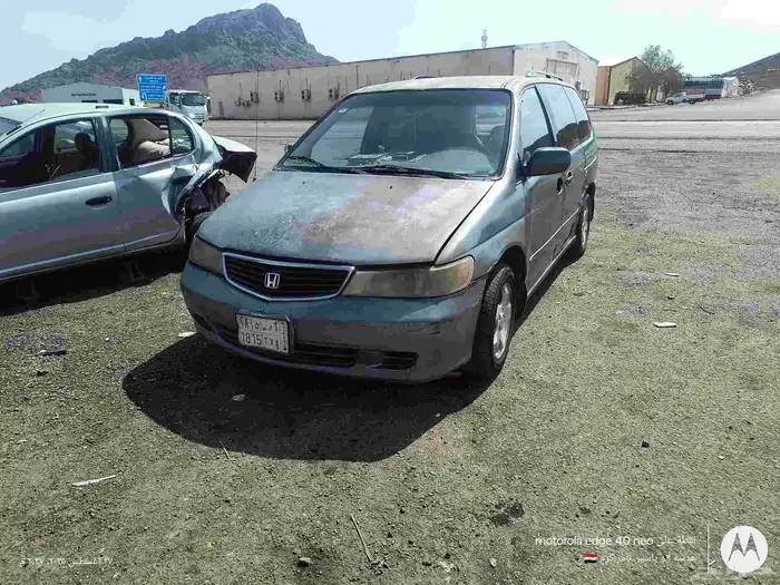 المدينة المنورة 0