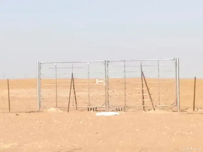 تركيب شبوك وزراعة نخيل 2