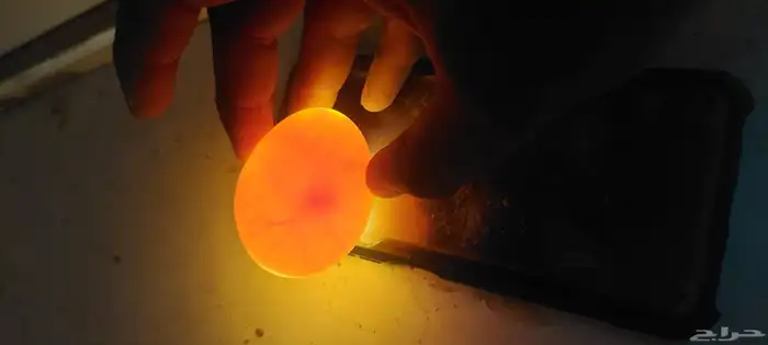 بط مصري بكيني 2