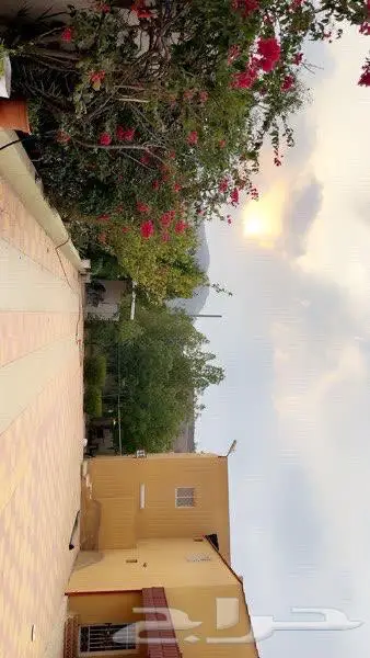 إستراحه للإيجارأسفل عقبة ظلع قبل النفق الأول 4