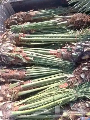 فسائل خلاص وصقعي وغيرها للبيع 2