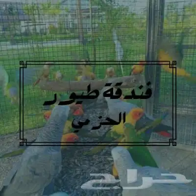 فندقة طيور (((باسعار مناسبة))) 0