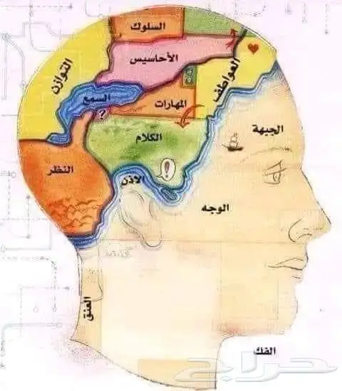 اخصائي تخاطب وتعديل سلوك وتوحد ومتلازمه داون 2