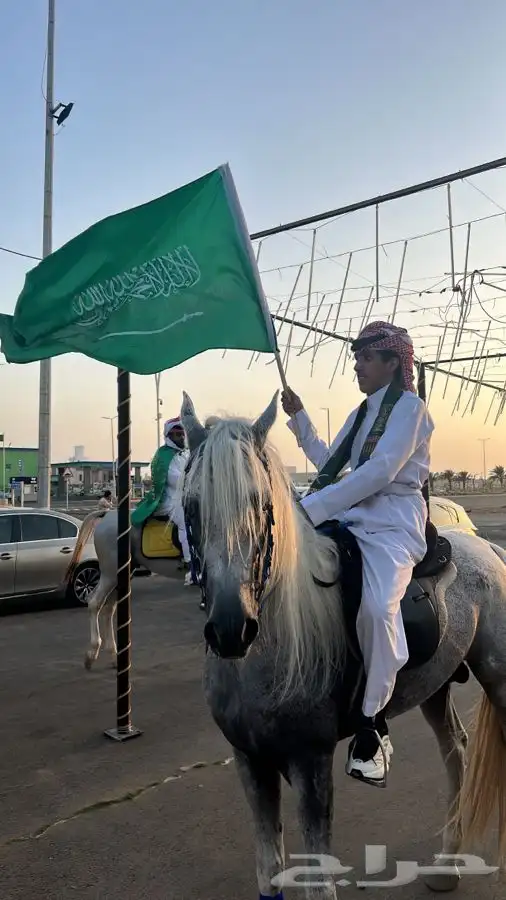 ترقيص خيل ادب مصري عسف تربيع تتدريب 1