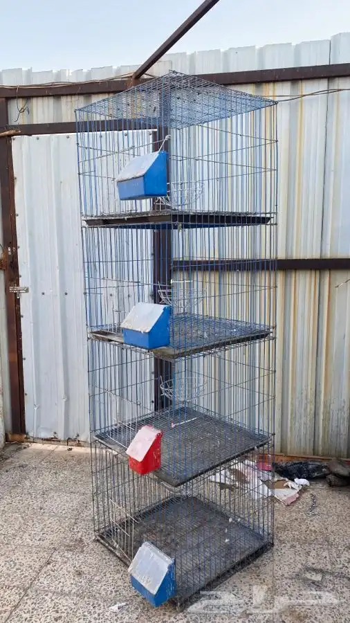 سلاكة ( محكر ) 1