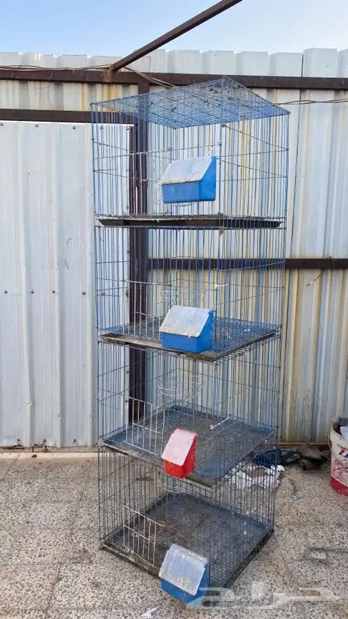 سلاكة ( محكر ) 0