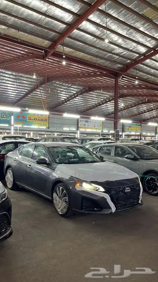 التيما نص فل 26 0