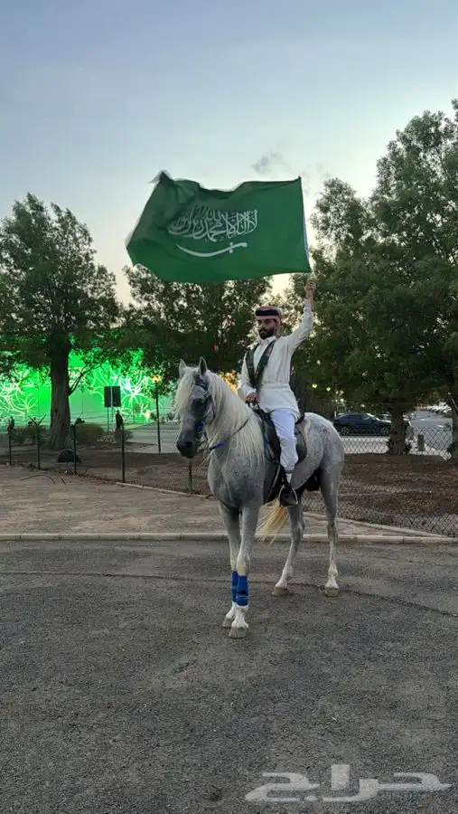 ترقيص خيل ادب مصري عسف تربيع تتدريب 2