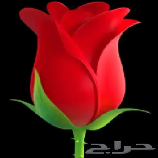 طباخ سعودي ابحث عن مشروع مطعم 0