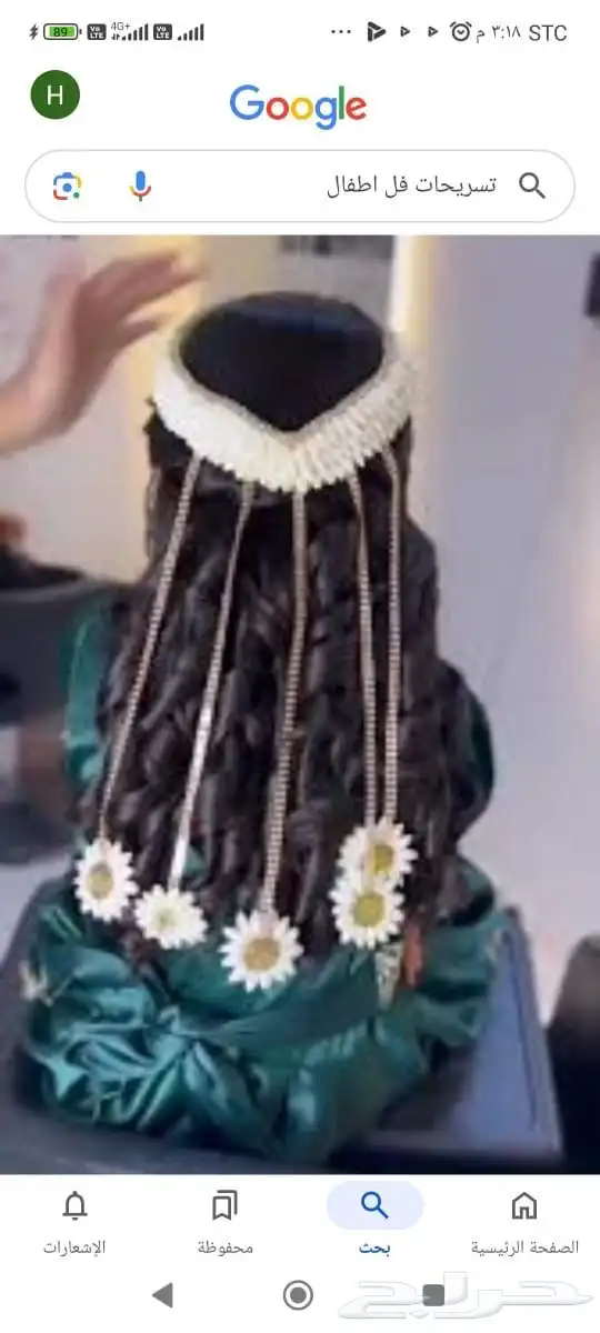 فل أشكال وأنواع 14