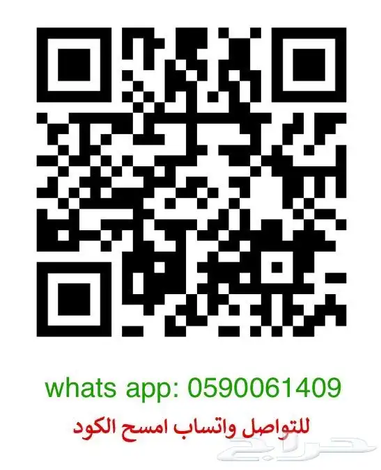 سيرة ذاتية احترافية (ATS) 3