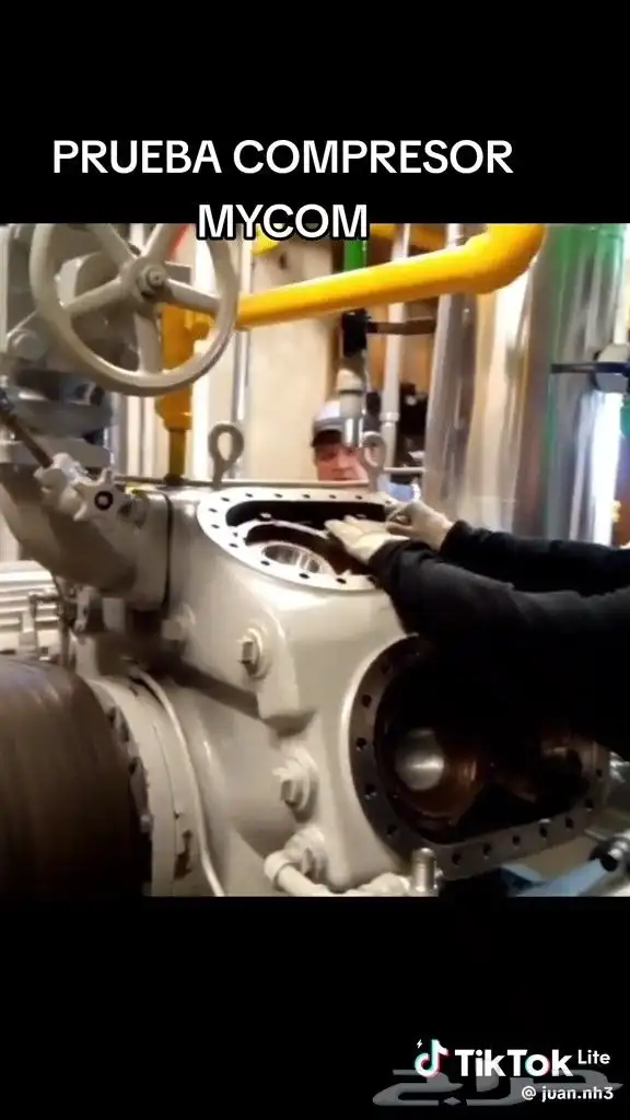 مخازن تجميد تبريد تمور دجاج ورد صناعي وتجاري 4