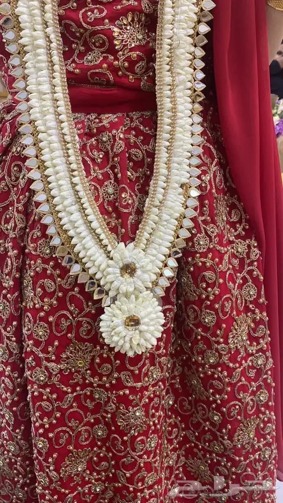 فل أشكال وأنواع 46