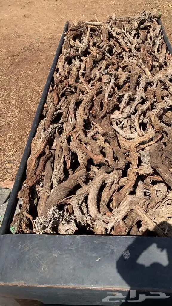 البيع ديانه حطب مستورد 2