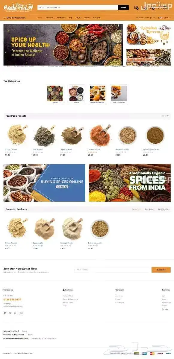 انشاء مواقع إلكترونية وبرمجة المواقع 0