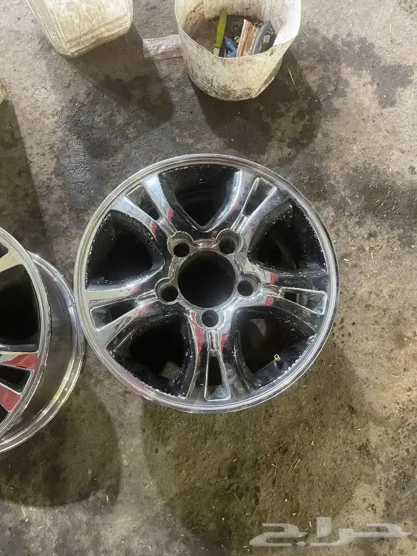 جنوط اللبيع 1