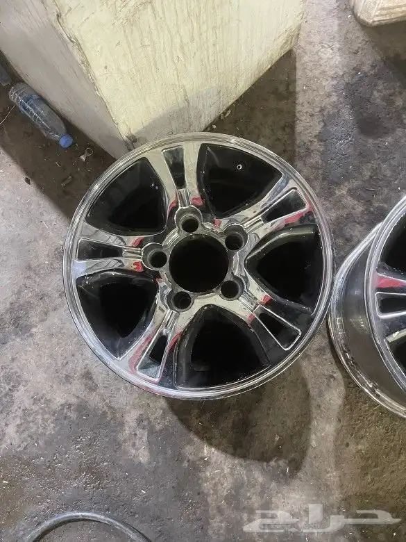 جنوط اللبيع 0