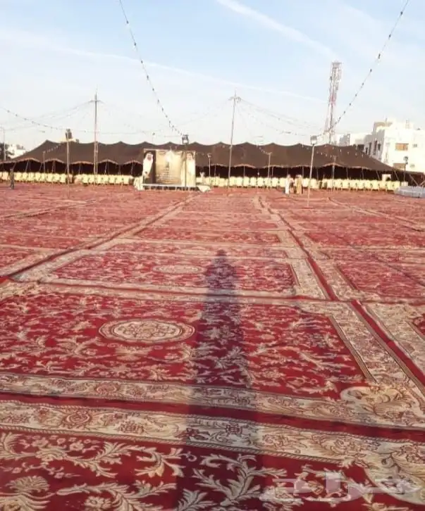 تجهيز مخيمات في مهرجان الملك عبدالعزيز لابل 0