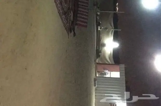 صندقة مخيم 2