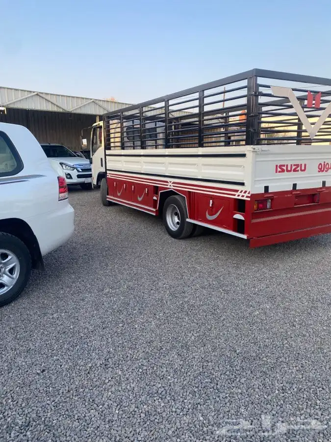 دينا اصفار خمس متر 2025 0