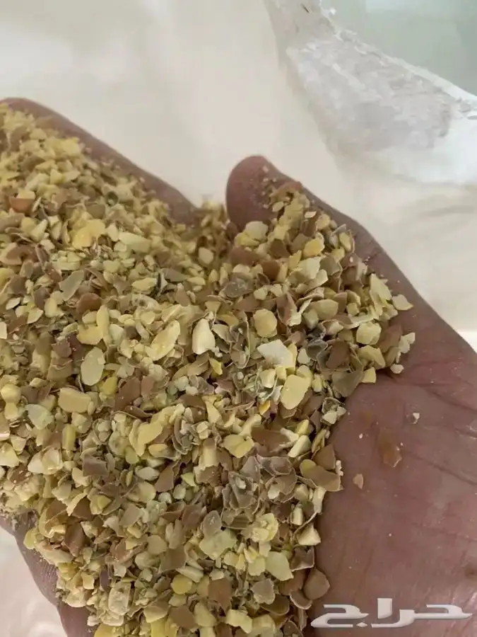 ذبائح ثلاجة ومناسبات تمارا 11